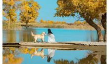 額濟(jì)納胡楊林+冷龍嶺秋色長(zhǎng)廊+金塔胡楊林+弱水胡楊林+怪樹林+七彩丹霞+居延海日出+沙漠日落+張掖大佛寺+嘉峪關(guān)城樓+阿拉善公路+黑城遺址六晚七天